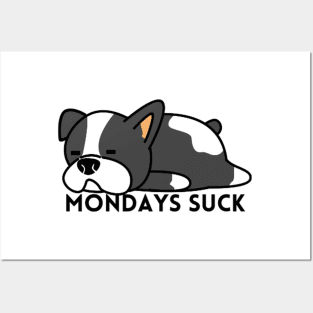 Mondays Suck Boston Terrier Dog Funny Sticker/Poster Design Posters and Art